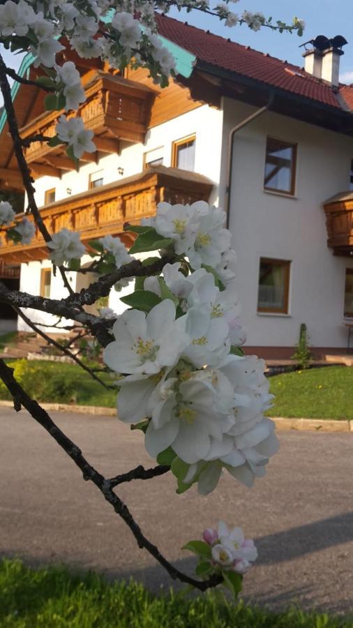 Ferienwohnung Lederhof Abtenau Exterior foto